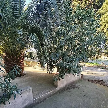 Tatil Evi Vue Etang De Thau ! Frontignan