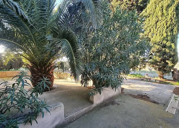 Tatil Evi Vue Etang De Thau ! Frontignan